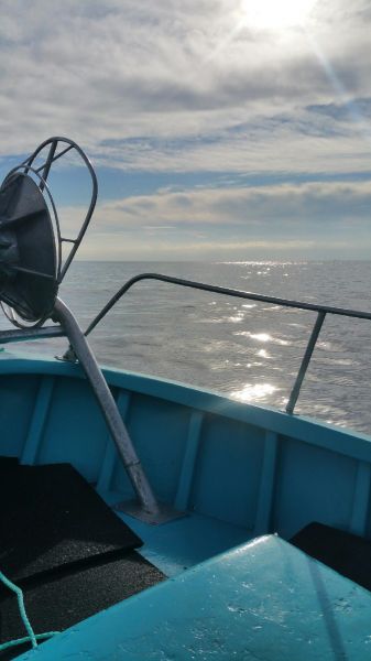 Le restaurant et son environnement !