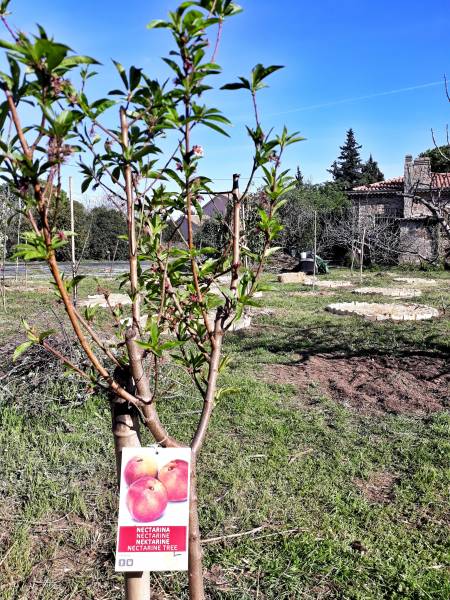permaculture dans le var par le restaurant le poisson rouge sur hyeres