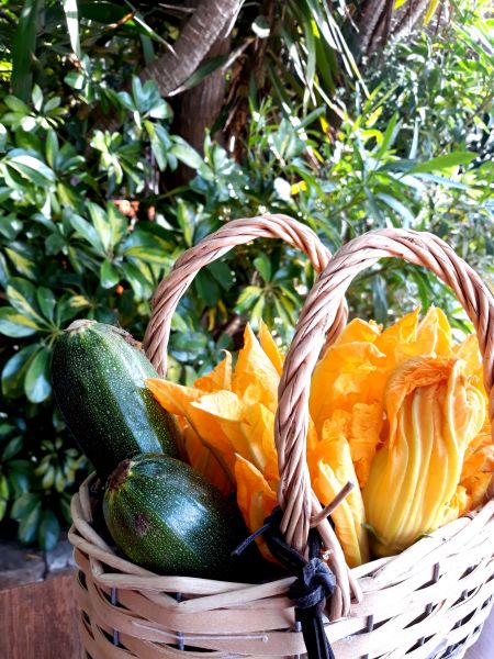 LE BEAU DIMANCHE de La Fête des Pères !