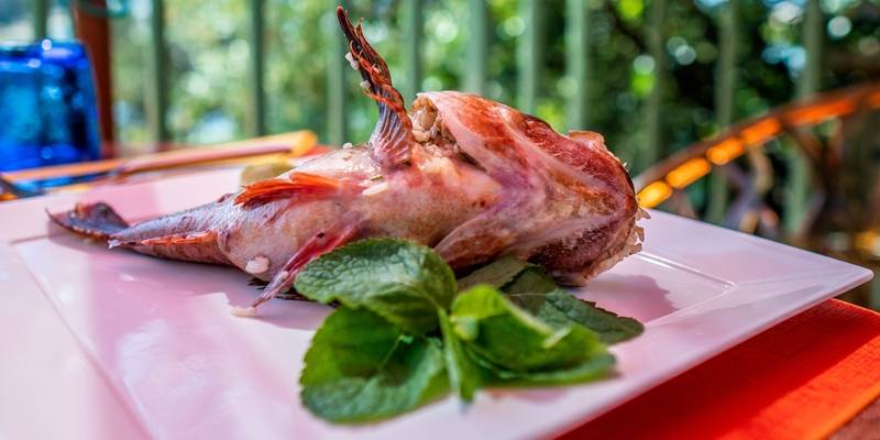 Article coup de coeur par Marie Claire sur notre restaurant de bord de mer situé sur le petit port du Niel à Giens et sur notre famille ! Un grand merci !