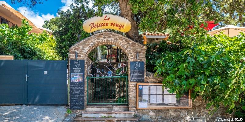 Article coup de coeur par Marie Claire sur notre restaurant de bord de mer situé sur le petit port du Niel à Giens et sur notre famille ! Un grand merci !