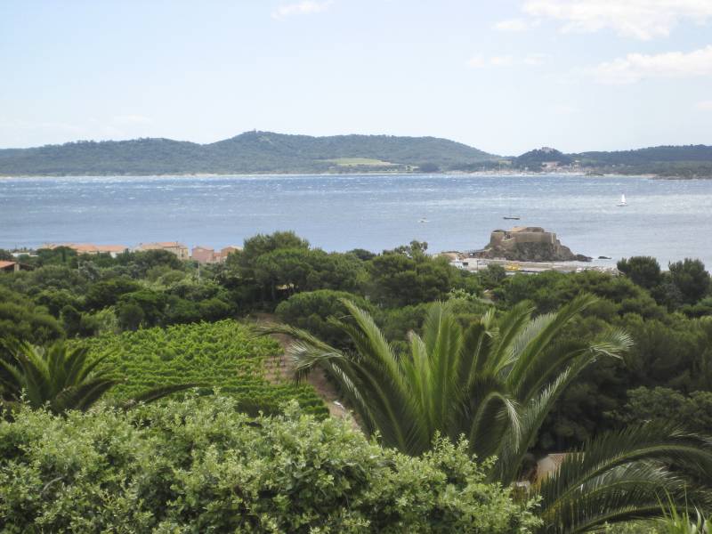 domaine de la presqu'ile de giens au restaurant le poisson rouge a hyeres